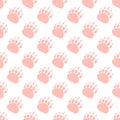 Footprints, paws, pink prints of a dog, cat