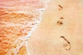 Footprints of the people on a golden pink sand on the sea coast. Soft waves of pink color. Marine creative background close up Royalty Free Stock Photo