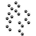 Footprints for pet, dog or cat. Pets print. Walks paw. Black silhouette shape steps isolated on white background. Design walking Royalty Free Stock Photo