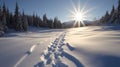 Footprints, prints in snow in forest, sunset background. Active recreation, winter sports. AI generated. Royalty Free Stock Photo