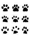 Footprints of rabbits Royalty Free Stock Photo