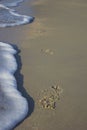 Footprints of a running man on sand sunrise background sea Royalty Free Stock Photo