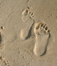 Footprints in the sand Royalty Free Stock Photo