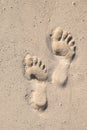 Footprints in the sand Royalty Free Stock Photo