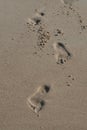 Footprints in the Sand Royalty Free Stock Photo