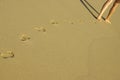 Footprints in the sand Royalty Free Stock Photo