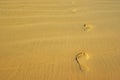 Footprints on the sand