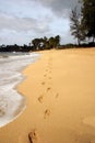 Footprints in the sand 2