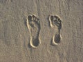 Footprints in the sand