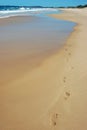 Footprints in the Sand Royalty Free Stock Photo