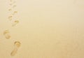Footprints in the sand background Royalty Free Stock Photo