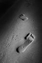 Footprints in Sand on The Beach Royalty Free Stock Photo