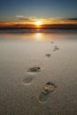 Footprints in sand at beach