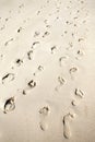 Footprints. Royalty Free Stock Photo