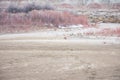 Footprints In Sand On Beach Royalty Free Stock Photo