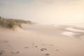 footprints in the sand on a beach near the water and sand dunes with grass growing on the sand and water in the distance, with a Royalty Free Stock Photo