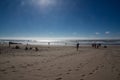 Footprints in sand at beach