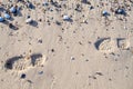 Footprints in the sand. Beach walk background image.