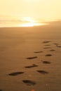 Footprints in the sand in sunset beach Royalty Free Stock Photo