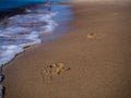 Footprints in the sand