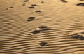Footprints on a sand Royalty Free Stock Photo