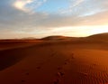 Footprints in the sand in the desert Sahara