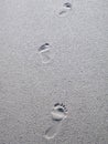 Footprints in the sand Royalty Free Stock Photo