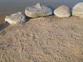 Footprints in the sand duck paws