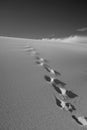 Footprints on the sand dune Royalty Free Stock Photo