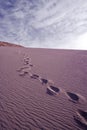 Footprints in a sand dune in the desert at Valle de la Muerte, Spanish for Death Valley Royalty Free Stock Photo