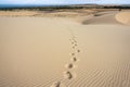 Footprints on Sand Dune Royalty Free Stock Photo