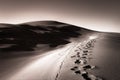 Footprints in a Sand Dune