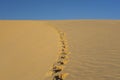 Footprints on the sand on a dune in the Sahara desert Royalty Free Stock Photo