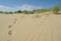 Footprints in sand dunes Royalty Free Stock Photo