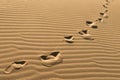 Footprints On Sand Dunes.Chain Of Barefoot Footprints On Sand. Human Footprints On Sand Background. Foot Steps Walking Away.