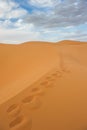 Footprints in sand dunes of Erg Chebbi, Morocco Royalty Free Stock Photo