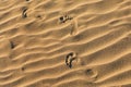 Footprints In The Sand. Early Morning Sunlight Through Sand Dunes And Mountains In Mesquite Flat Dune, Death Valley National Park Royalty Free Stock Photo