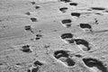 Footprints in sand. Feet of mother and child walk along shore. Summer memories. Royalty Free Stock Photo