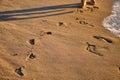 Footprints in sand. Feet of mother and child walk along shore. Summer memories. Royalty Free Stock Photo