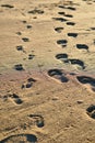 Footprints in sand. Feet of mother and child walk along shore. Summer memories. Royalty Free Stock Photo