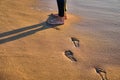Footprints in sand. Feet of mother and child walk along shore. Summer memories. Royalty Free Stock Photo