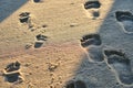 Footprints in sand. Feet of mother and child walk along shore. Summer memories. Royalty Free Stock Photo