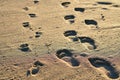 Footprints in sand. Feet of mother and child walk along shore. Summer memories. Royalty Free Stock Photo