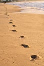 Footprints in sand. Feet of mother and child walk along shore. Summer memories. Royalty Free Stock Photo