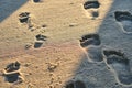 Footprints in sand. Feet of mother and child walk along shore. Summer memories.