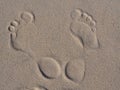 Footprints in the sand Royalty Free Stock Photo