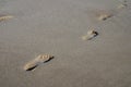 Footprints in the sand, Folkestone