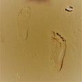 Footprints in the sand. Foot marks on the sand beach with the seashell.