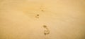 Footprints in the sand. Foot print tracks on beach Royalty Free Stock Photo