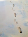 Footprints at sand, foot of woman and man. Royalty Free Stock Photo